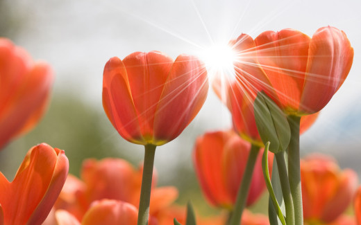 510465 (a): :2560x1600